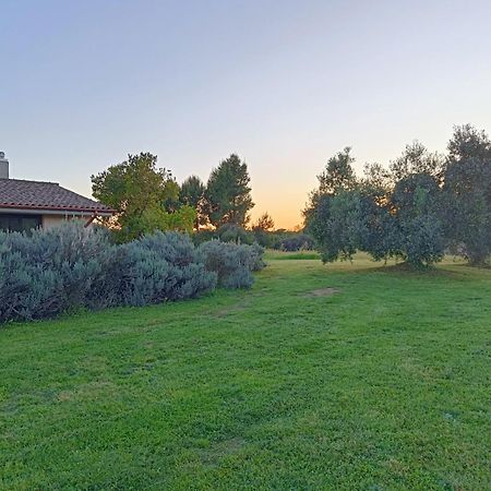 Agriturismo Fontelupo บรักชาโน ภายนอก รูปภาพ