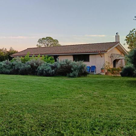 Agriturismo Fontelupo บรักชาโน ภายนอก รูปภาพ