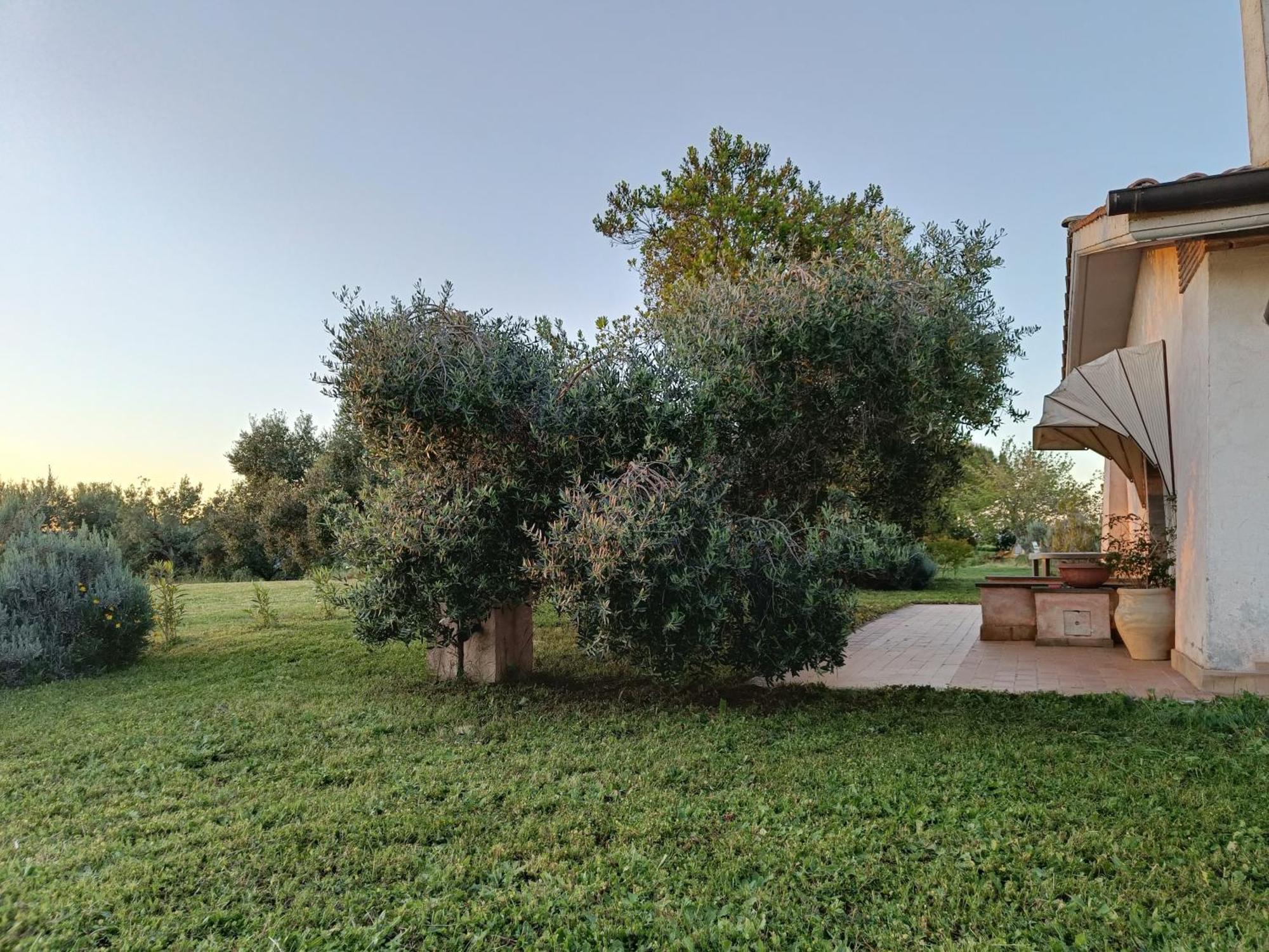 Agriturismo Fontelupo บรักชาโน ภายนอก รูปภาพ