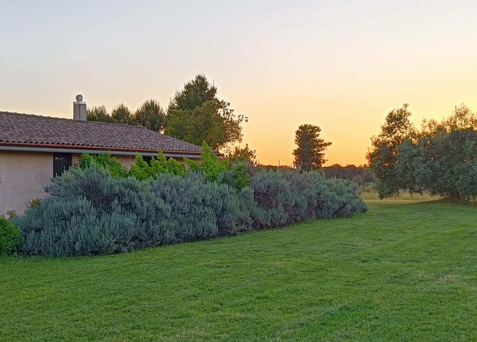 Agriturismo Fontelupo บรักชาโน ภายนอก รูปภาพ