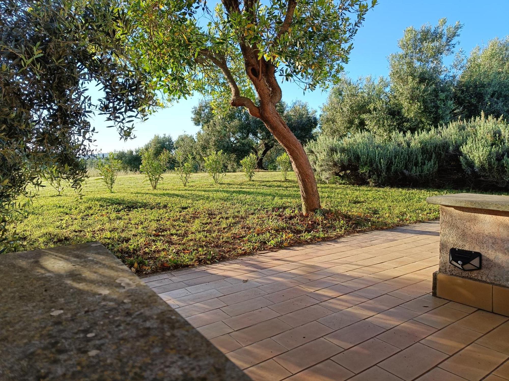 Agriturismo Fontelupo บรักชาโน ภายนอก รูปภาพ