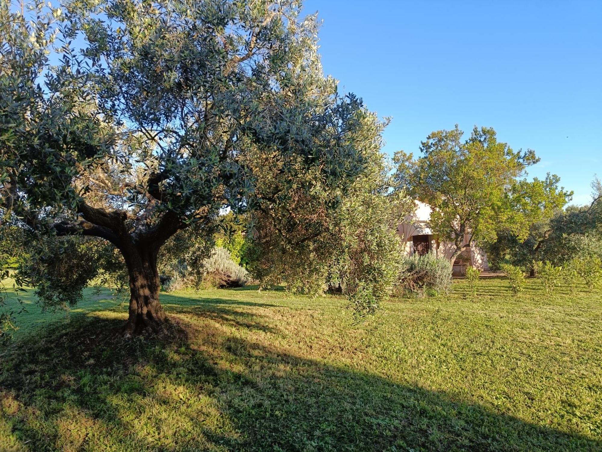 Agriturismo Fontelupo บรักชาโน ภายนอก รูปภาพ